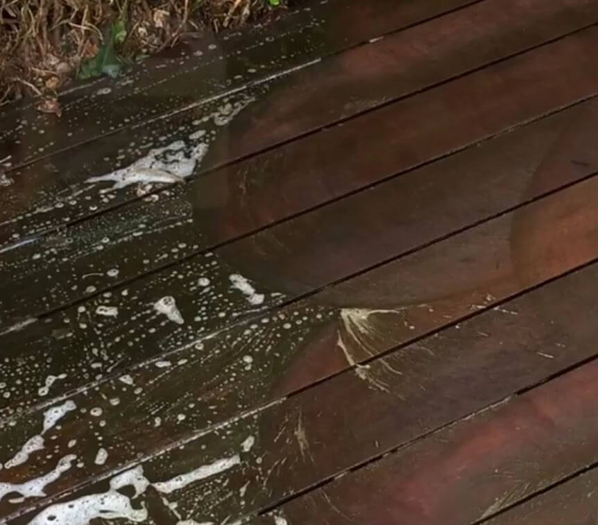 Deck Clean And Stain