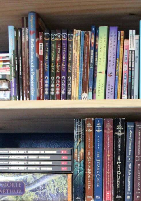 how to organize my home library